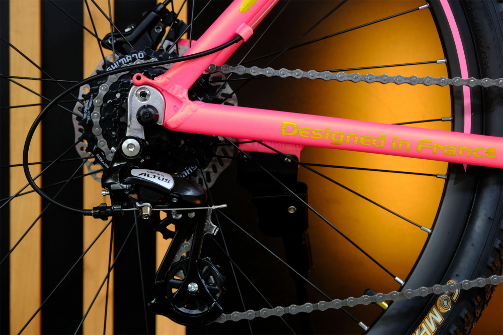 LORAK GLORY 250 HD Матовый Розовый/Золотой рама 17 (на рост 155-173)